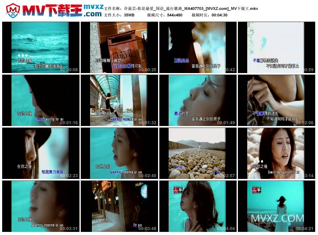 许茹芸-你是最爱_国语_流行歌曲_MA407703